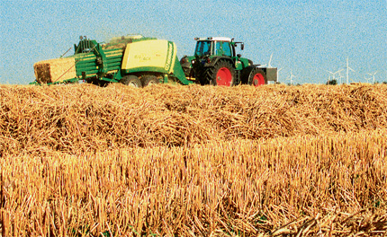 Krone