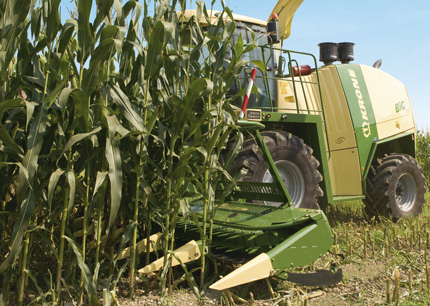 Krone