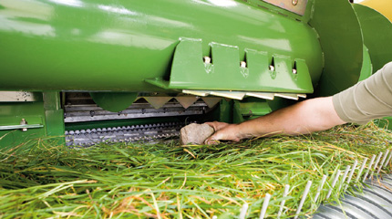 Krone