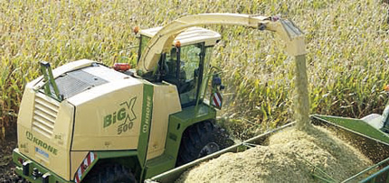 Krone