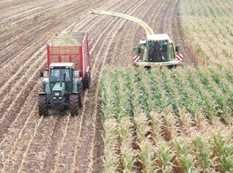 KRONE Big X