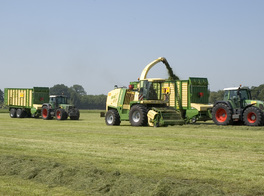 KRONE Big X