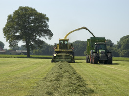 KRONE Big X