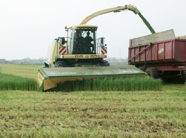 KRONE Big X