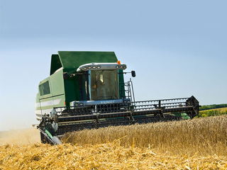 FENDT P